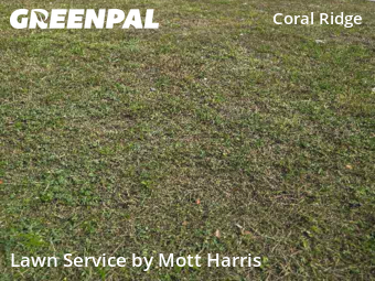 Grass Cut nearby Fort Lauderdale, FL, 