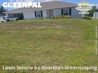 Grass Cut nearby Cape Coral, FL, 