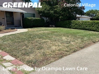 Lawn Mowing nearby Sacramento, CA, 