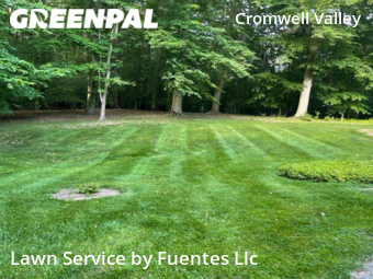 Grass Cutting nearby Towson, MD, 