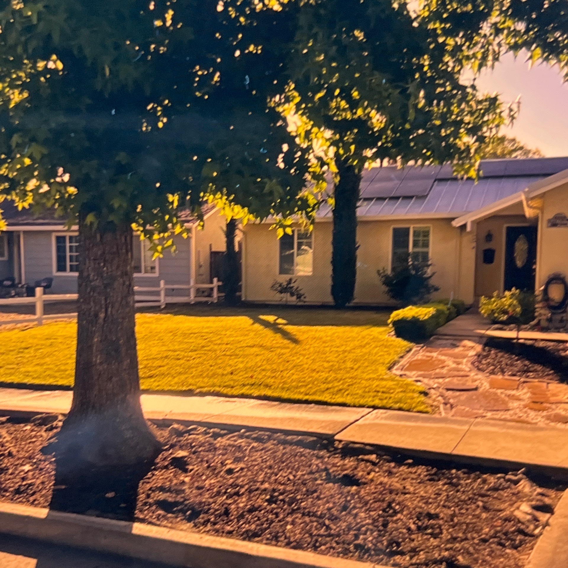 Lawn mowing work by Flor Property Servic in Gilroy, CA