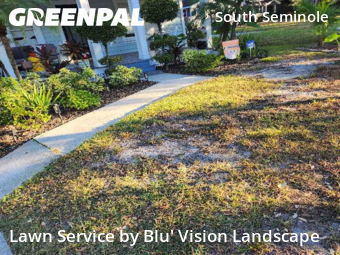 Commercial Landscaping In Tampa,33603,Landscaping by Blu' Vision Landscape, work completed in Nov , 2025