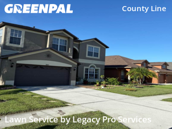 Lawn Cutting nearby Tampa, FL, 