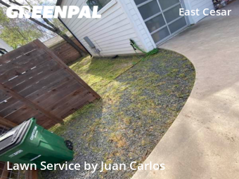 Lawn Cut nearby Austin, TX, 