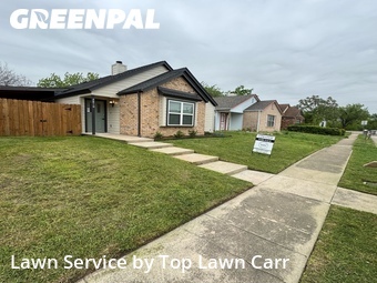 Grass Cut nearby Irving, TX, 