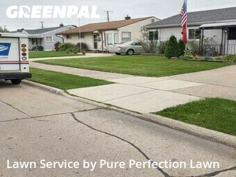 Yard Cutting in Wyandotte, 48192, Yard Upkeep by Pure Perfection Lawn, work completed in Nov , 2025