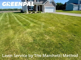 Lawn Care nearby North Aurora, IL, 