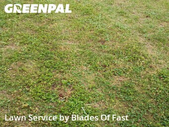 Lawn Mowing Service nearby Atlanta, GA, 