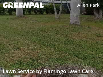 Grass Cutting in Fort Myers, 33901, Yard Care Services by Flamingo Lawn Care, work completed in Nov , 2025