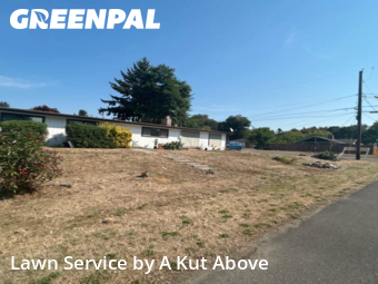 Yard Cutting nearby Sea Tac, WA, 