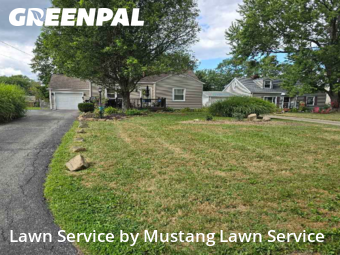 Yard Upkeep in Boardman, 44512, Lawn Management by Mustang Lawn Service, work completed in Nov , 2025