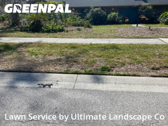 Lawn Mowing Service nearby Brandon, FL, 