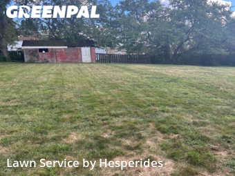 Yard Cutting nearby Homestead, PA, 