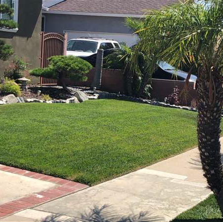 Lawn Care Service in Torrance, CA, 90504