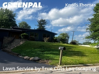 Modern Landscaping In Columbus,43214,Landscaping Cleanup by True Cuts Landscaping, work completed in Jul , 2026