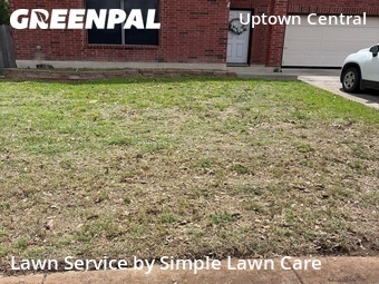 Yard Cutting nearby San Antonio, TX, 