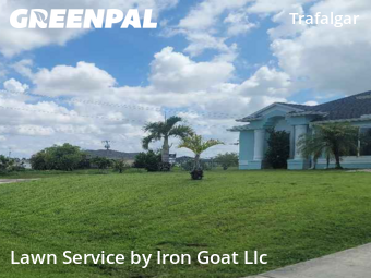 Lawn Cut nearby Cape Coral, FL, 