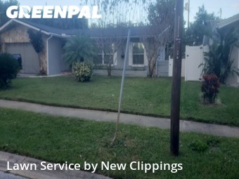Lawn Maintenance nearby Clearwater, FL, 