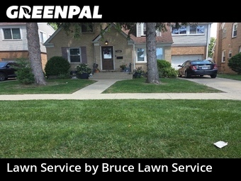 Grass Cutting nearby Franklin Park, IL, 