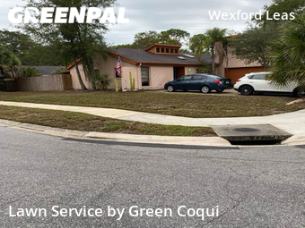 Lawn Care nearby Palm Harbor, FL, 