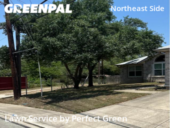Lawn Mow nearby San Antonio, TX, 