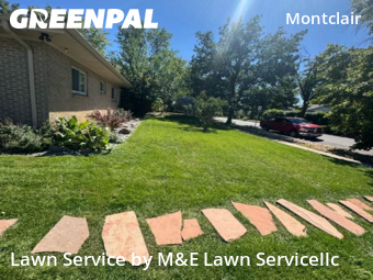 Lawn Care Service nearby Denver, CO, 