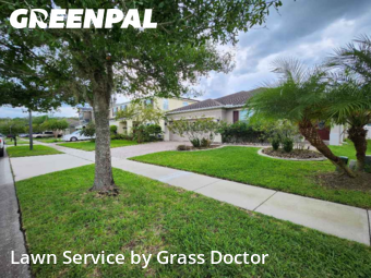 Yard Cutting nearby Orlando, FL, 