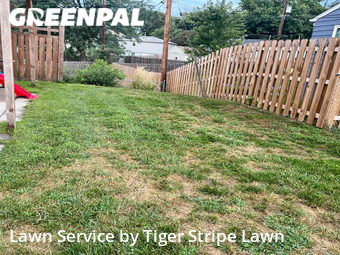 Yard Cutting nearby La Vista, NE, 