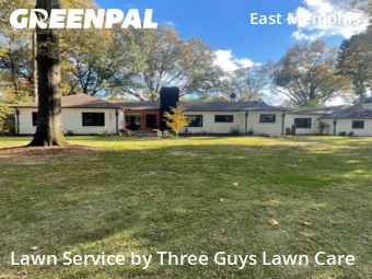 Lawn Management in Memphis, 38117, Turf Services by Three Guys Lawn Care, work completed in Dec , 2025