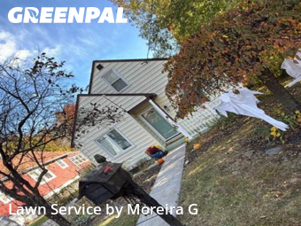 Yard Cutting in Parkville, 21234, Garden Trimming by Moreira G, work completed in Nov , 2025