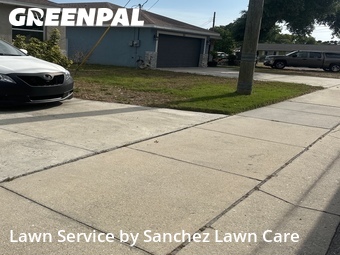 Lawn Cutting nearby Palmetto, FL, 