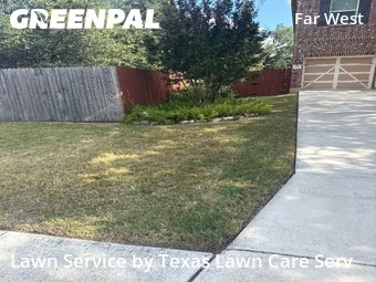Lawn Service nearby San Antonio, TX, 