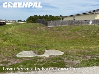 Landscaping Companies In Palm Bay,32908,Landscaping by Ivans Lawn Care, work completed in Jul , 2026