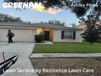 Grass Cut nearby Wesley Chapel, FL, 