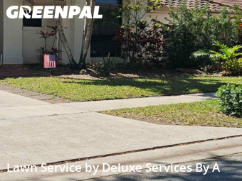 Lawn Mowin Plantation,33322,Lawn Mowing Service by Deluxe Services By A, work completed in Dec , 2025