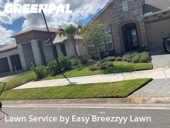 Grass Cut nearby Daytona Beach, FL, 