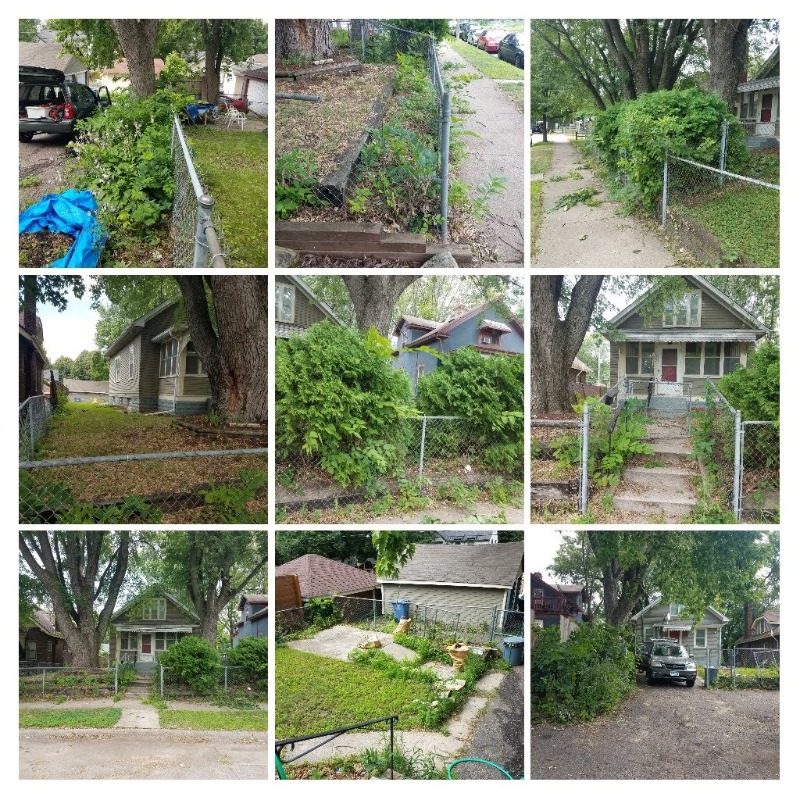 Lawnscaping Lawn Care Services in Fridley, MN