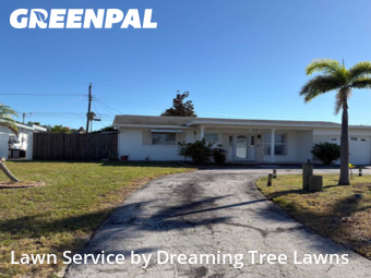 Yard Care in Seminole, 33772, Landscaping Maintenance by Dreaming Tree Lawns, work completed in Oct , 2025