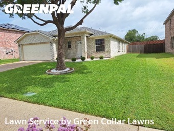 Lawn Cutin Grand Prairie,75052,Grass Cut by Green Collar Lawns, work completed in Jul , 2026