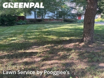 Lawn Mow nearby East Amherst, NY, 