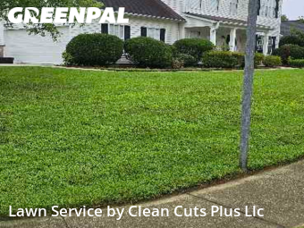 Lawn Mow nearby Buford, GA, 