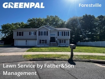 Lawn mowed in Bristol, 6010