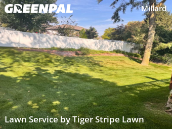 Grass Cut nearby Omaha, NE, 