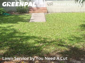Lawn Cut nearby Miami, FL, 