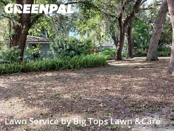 Lawn Mowing nearby Altamonte Springs, FL, 