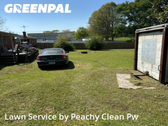 Lawn Mowing Service nearby Bowdon, GA, 