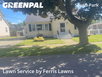 Grass Cut nearby Buffalo, NY, 