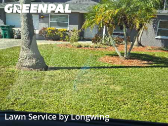 Lawn Mow nearby Clearwater, FL, 