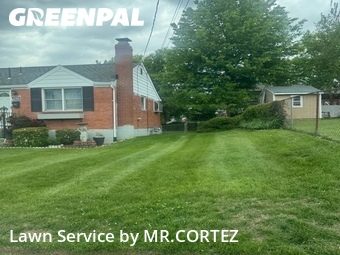 Lawn Mowing Service nearby Silver Spring, MD, 