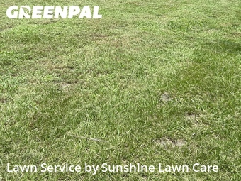 Lawn Care nearby Port St. Lucie, FL, 